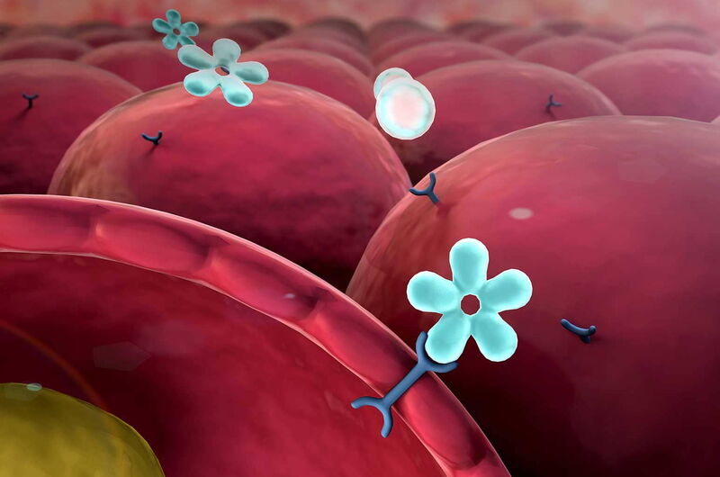 Metformin – ein potenzielles Anti-Aging-Medikament